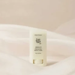 Beauty of Joseon Matte Sun Stick Mugwort + Camelia SPF50 18g