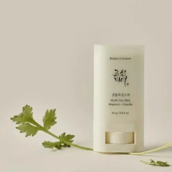 Beauty of Joseon Matte Sun Stick Mugwort + Camelia SPF50 18g