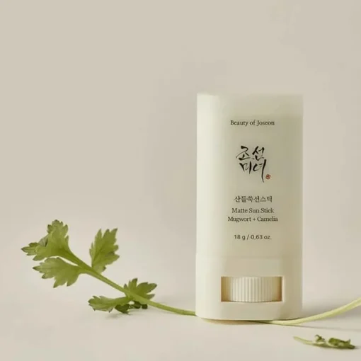Beauty of Joseon Matte Sun Stick Mugwort + Camelia SPF50 18g