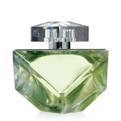Britney Spears Believe Edp 100ml
