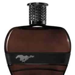 Ford Mustang Black For Men Edt 100ml