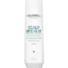 Goldwell Dualsenses Scalp Specialist Anti-Dandruff Shampoo 250ml