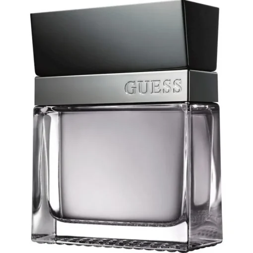 Guess Seductive Homme edt 100ml