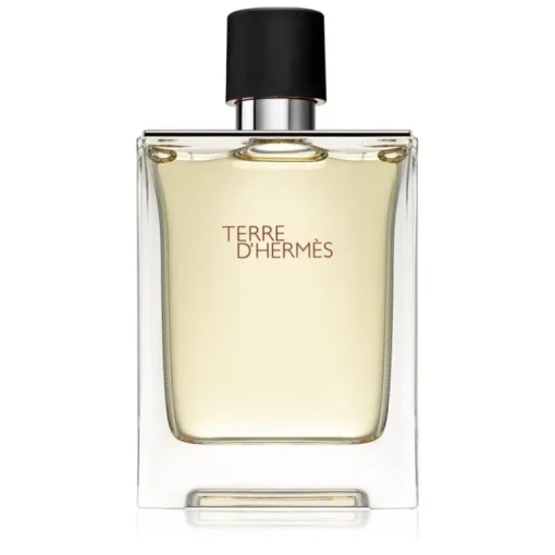 Hermes Terre d’Hermes Edt 100ml