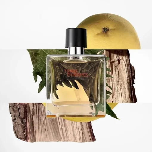 Hermes Terre d’Hermes Edt 50ml