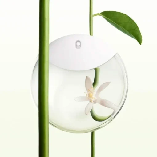 Issey Miyake A Drop d’Issey Edp 50ml
