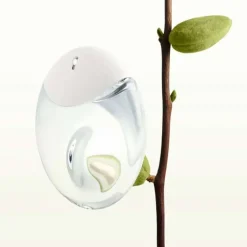 Issey Miyake A Drop d’Issey Edp 50ml