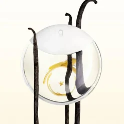 Issey Miyake A Drop d’Issey Edp 50ml