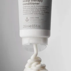 Paul Mitchell Clean Beauty Scalp Therapy Conditioner 250ml