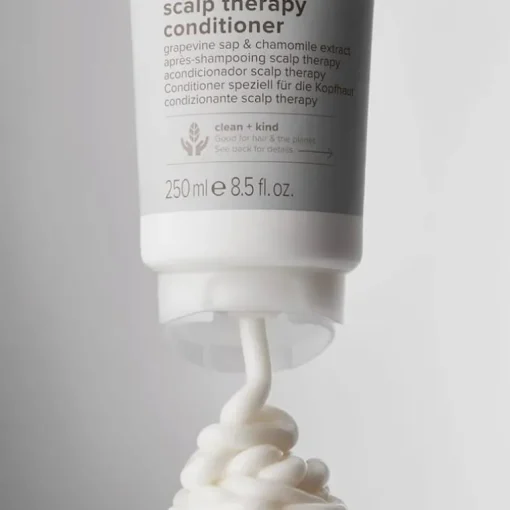 Paul Mitchell Clean Beauty Scalp Therapy Conditioner 250ml