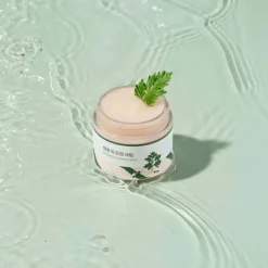 Round Lab Mugwort Calming Cream 80ml