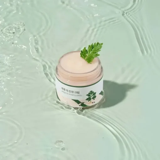 Round Lab Mugwort Calming Cream 80ml