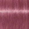 Schwarzkopf Professional Igora Vibrance Kit 9.5-98 Violet Red Toner