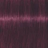 Schwarzkopf Professional Igora Vibrance Kit 6-99 Dark Blonde Violet Extra