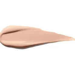 Shiseido Synchro Skin Self Refreshing Concealer 203 6ml