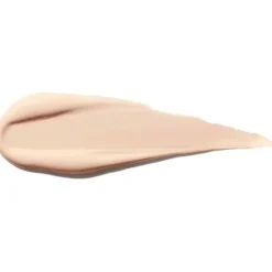 Shiseido Synchro Skin Self Refreshing Concealer 102 6ml