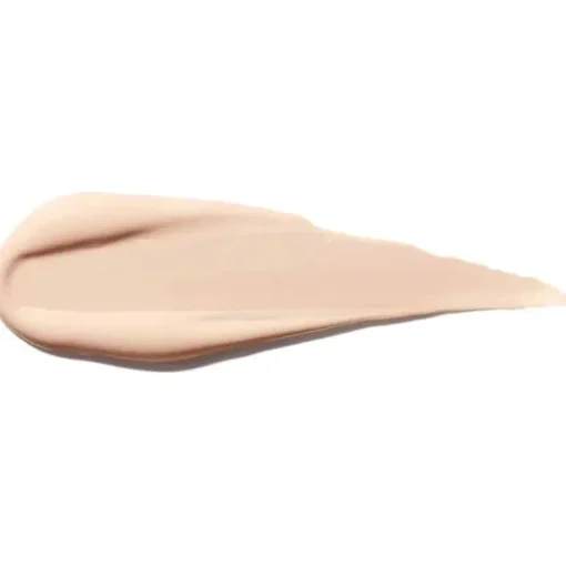 Shiseido Synchro Skin Self Refreshing Concealer 102 6ml
