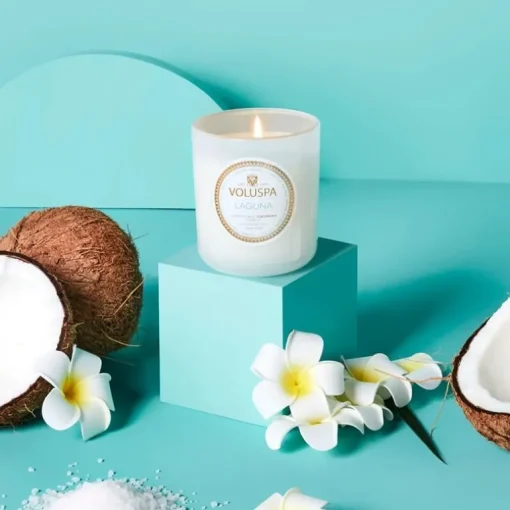 Voluspa Classic Candle Laguna 269g