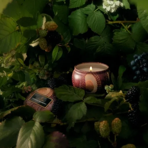 Voluspa Decorative Tin Candle Foraged Wildberry 113g