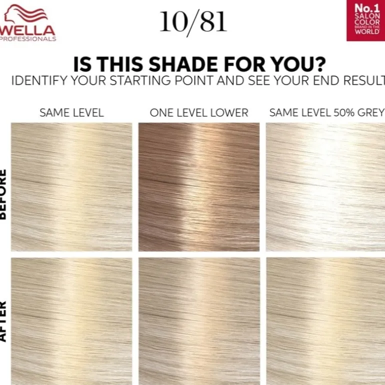 Wella Color Touch Rich Naturals 10/81 Platinum Blonde