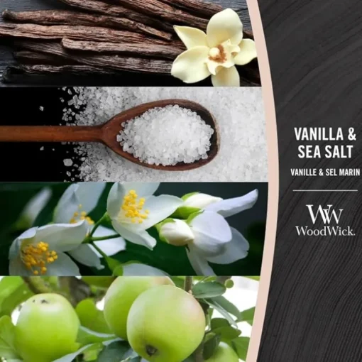 WoodWick Medium – Vanilla & Sea Salt