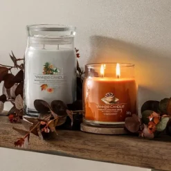 Yankee Candle Signature Medium Jar Pumpkin Cinnamon Swirl 368g